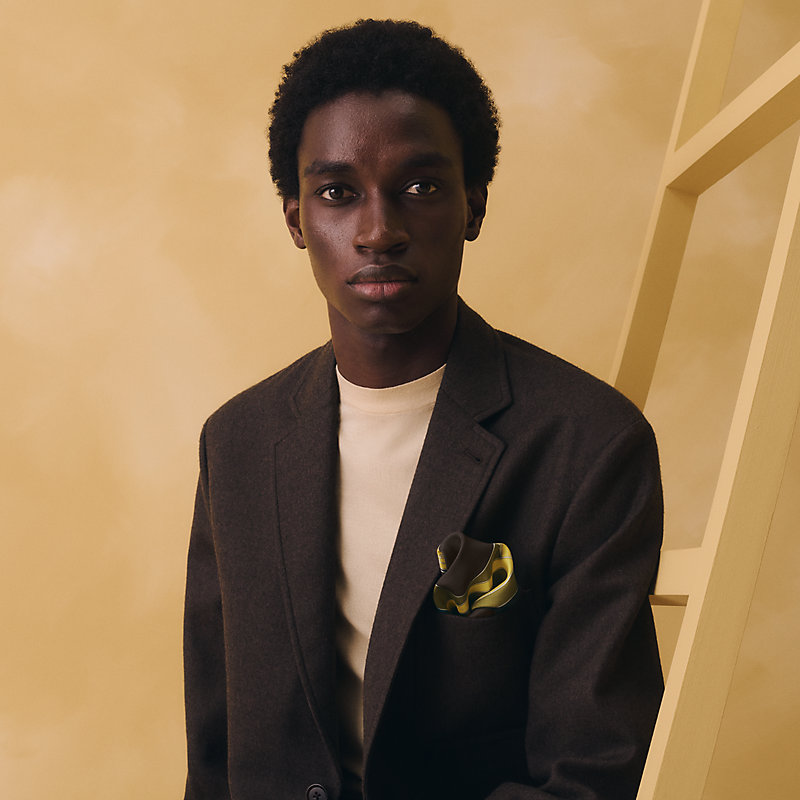 ポケットチーフ 《ドゥ・プロフィル》 | Hermès - エルメス-公式サイト